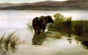 Kuh Am Ufer Des Zuerichsees by Johann Rudolf Koller