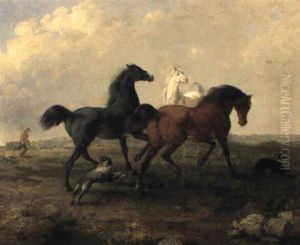 Drei Pferde Auf Der Weide by Johann Rudolf Koller