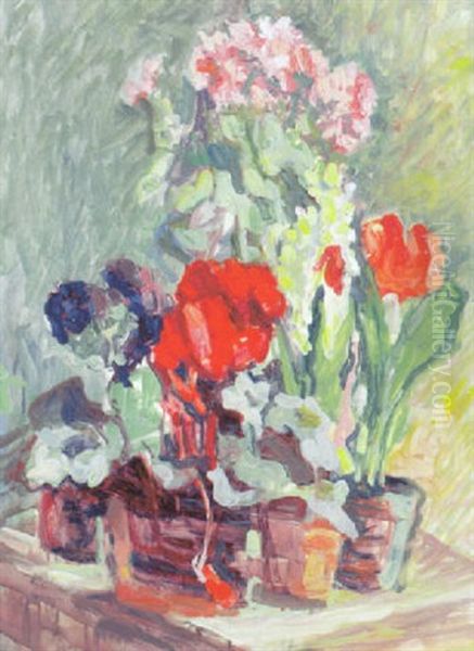Blumenstilleben Mit Diversen Topfpflanzen - view 1