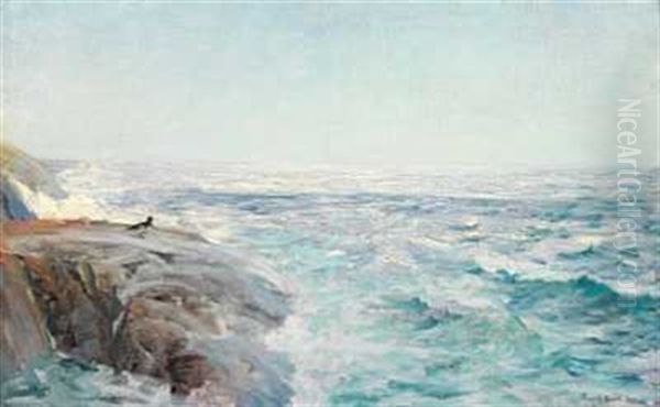 Sommerdag Ved Havet - view 1