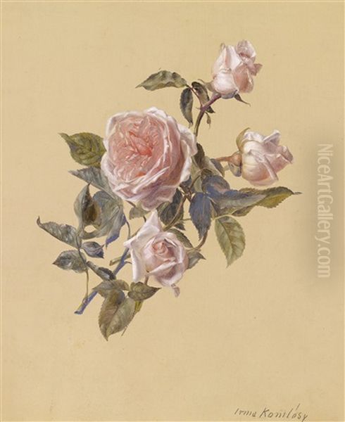 Ein Rosenzweig - view 1