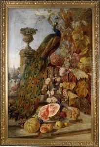 Groses Blumen Und Fruchtestuck Mit Pfau, Im Hintergrund Wien by Irma Komlosy