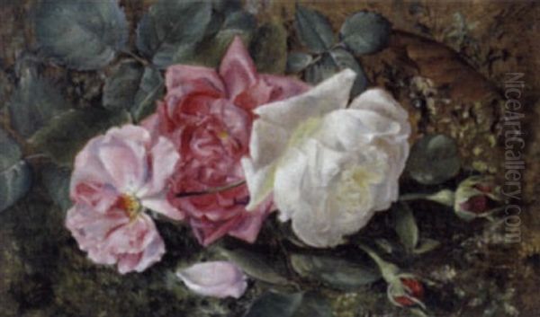 Rosen Am Waldboden - view 1