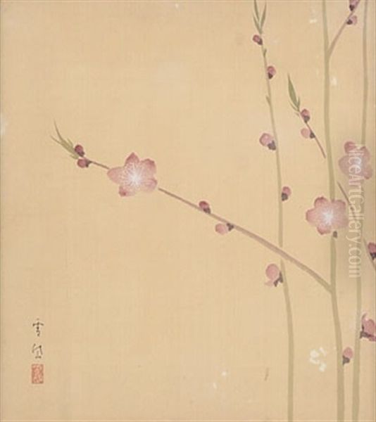 Plum Blossom - view 1