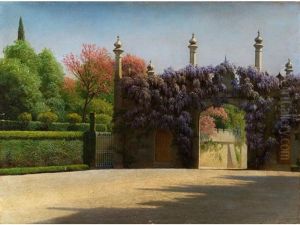 Parklandschaft Mit Baumen