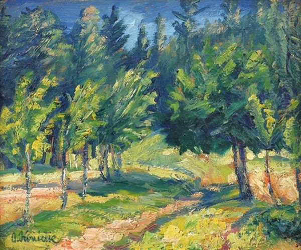 Lesni Cesta - view 1