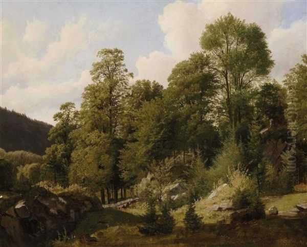 Waldlandschaft - view 1