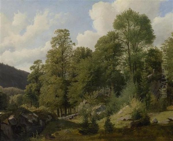 Waldlandschaft Mit Felsen - view 1