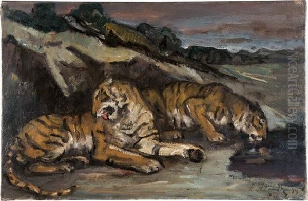 Liegende Tiger - view 1
