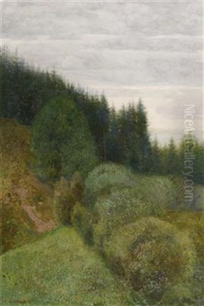 Am Waldrand - view 1