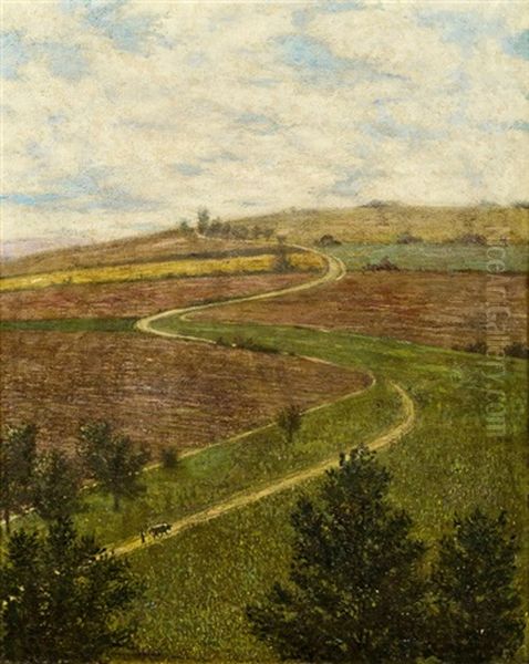 Der Feldweg - view 1