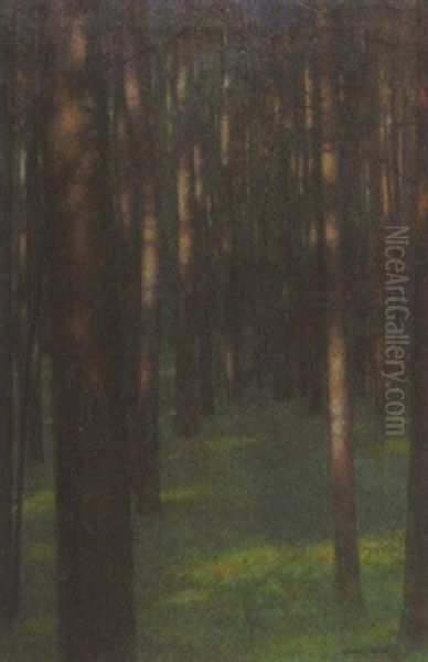 Sommerliche Waldlandschaft - view 1