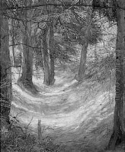 Im Wald Im Wald