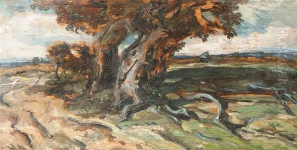 Landscape - view 1