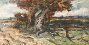 Landscape Landscape