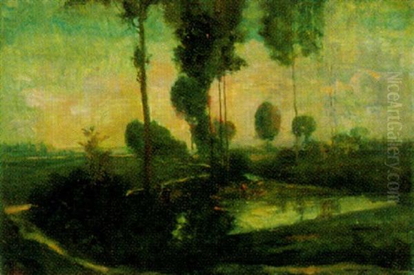 Landschaft Bei Oudshoorn - view 1