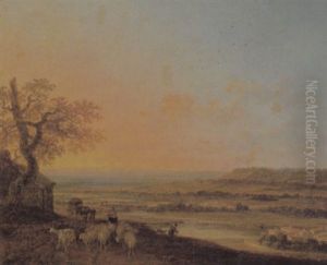 Weite Flusslandschaft Mit Herde