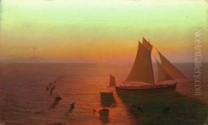 Ein Schiff Auf Dem Meere Von Delphinen Umschwarmt