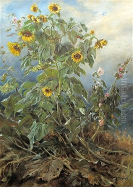 Sonnenblumen Und Malven - view 1