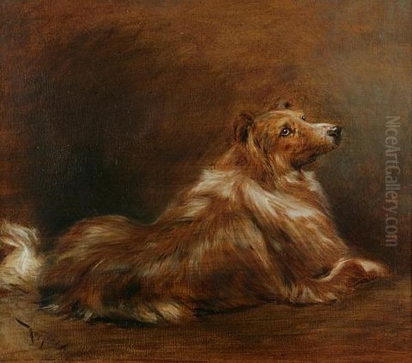 Collie (+ A Portrait Of A Woman, Verso) - view 1