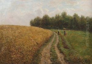 Spaziergang Am Feldrand Spaziergang Am Feldrand