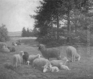 Weite Wiesenlandschaft Mit Schafherde by Julius Kornbeck
