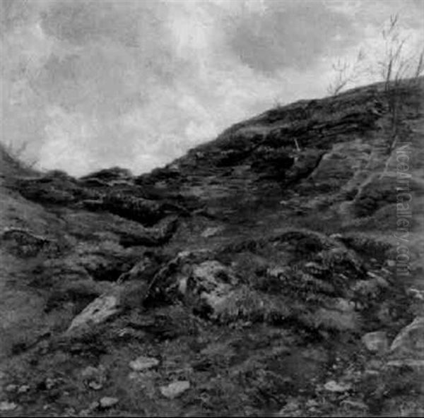 Alter Steinbruch - view 1