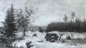 Schneebedeckte Landschaft Mit Einzelnen Baumgruppen Schneebedeckte Landschaft Mit Einzelnen Baumgruppen