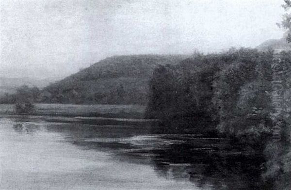 Neckarauen - view 1