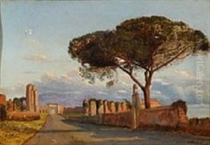 A Pine Tree By An Italian Country Road