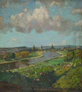 Blick Uber Die Elbwiesen Auf Dresden