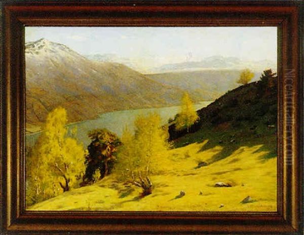 Parti Fra Kvarberg, Guldbrandsdalen - view 1