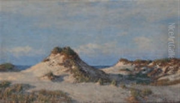 Dunenlandschaft Mit Blick Auf Das Meer - view 1