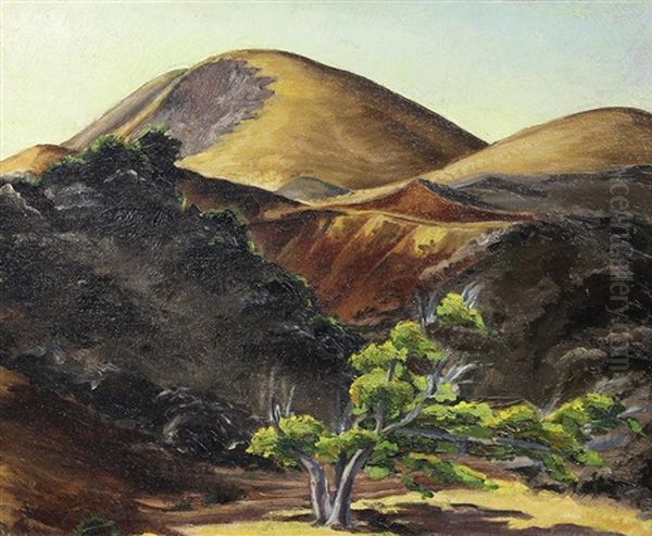 Trees In The Foothills - view 1