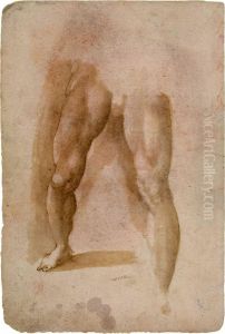 Mannlichebeinstudie