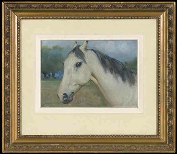 Horse Head - view 1