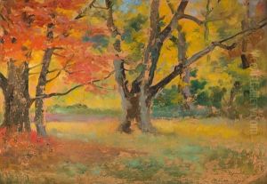 Autumn Landscape ('medyka')