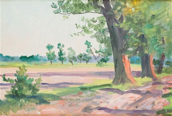 Pejzaz - view 1