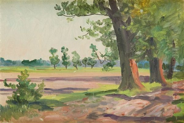 Pejzaz Z Drzewami - view 1