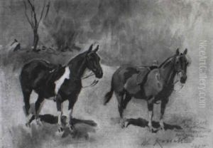 Horses Horses