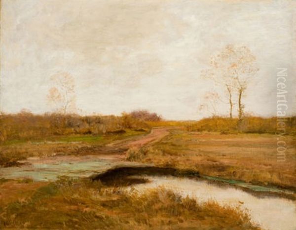 Southfield Marshes, Staten Island - view 1