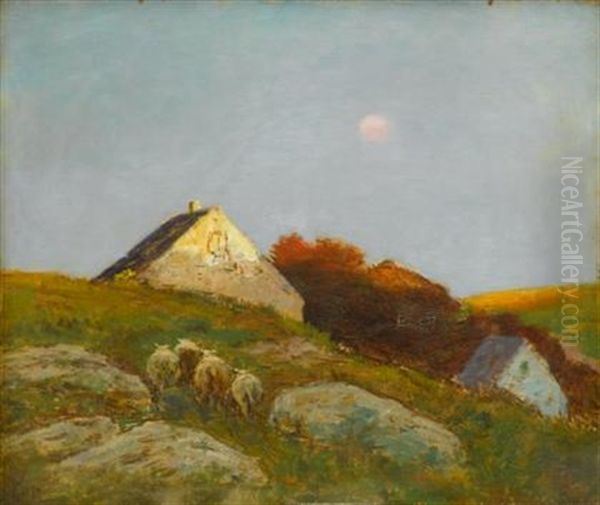 Hilltop With Sheep - view 1