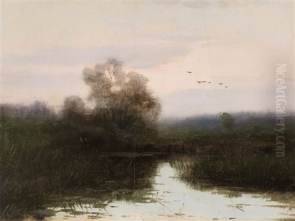 Morning At The Lake - view 1