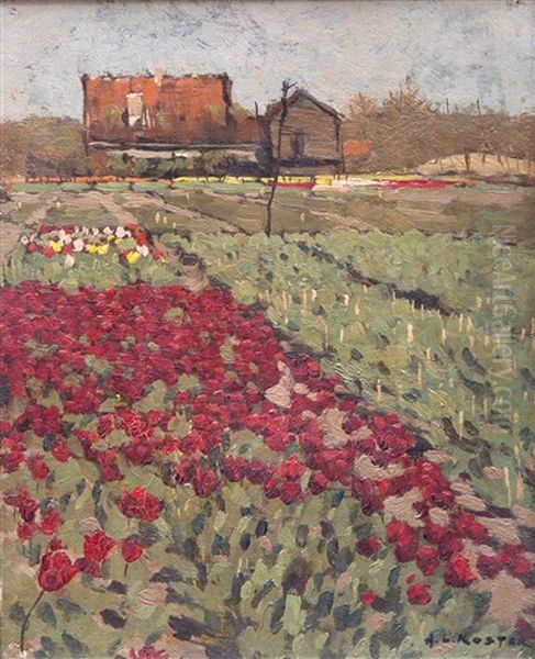 A Field Of Tulips - view 1