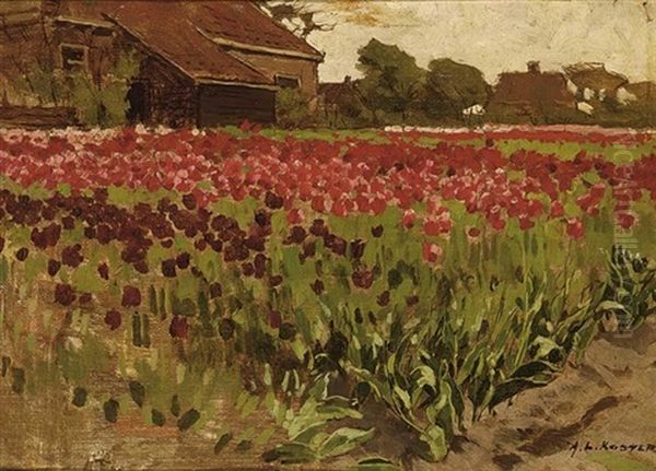 Paarsche En Roode Darwin Tulpen - view 1