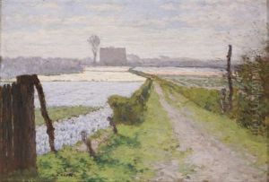 Blumenfelder Bei Haarlem