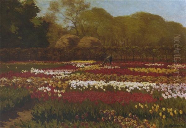 A Beautiful Day In A Tulip Field - view 1