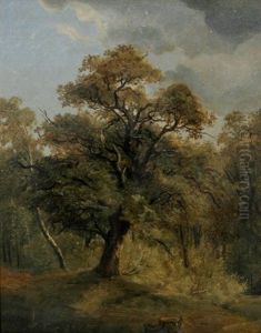 Waldlichtung Mit Groser Eiche by Carl Georg Koester