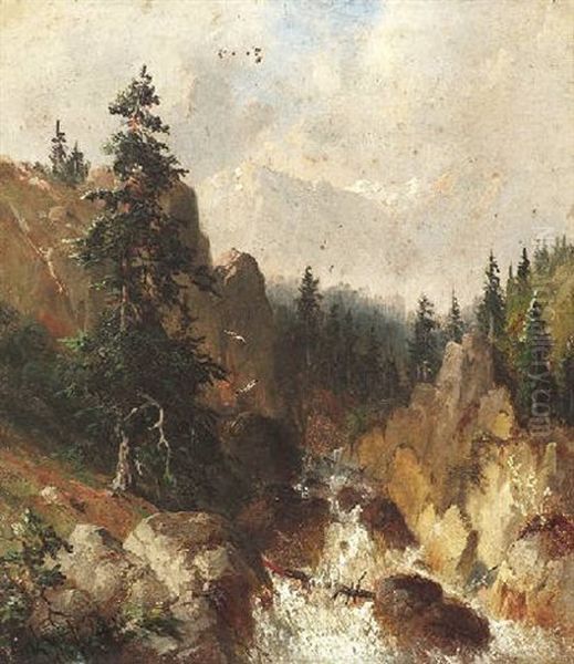 Wildbach Im Gebirge - view 1
