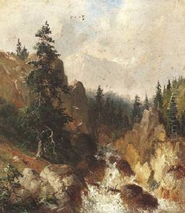 Wildbach Im Gebirge